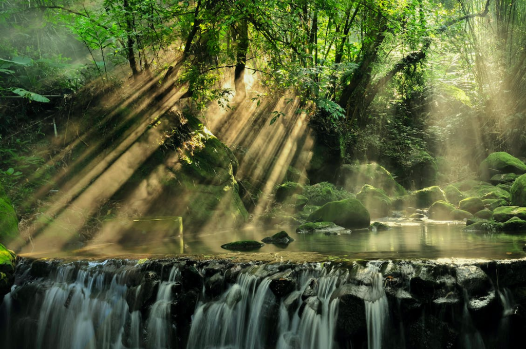 Vista Panoramica Della Foresta Pluviale
Foto di Arnie Chou: https://www.pexels.com/it-it/foto/vista-panoramica-della-foresta-pluviale-927414/